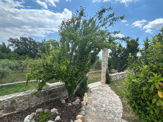 Maslinik - vrt, Villa Kosta s bazenom, Ka&scaron;tel Novi, Split Rudine, Ka&scaron;tel Novi