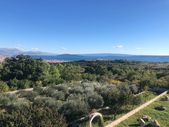 Maslinik - vrt, Villa Kosta s bazenom, Ka&scaron;tel Novi, Split Rudine, Ka&scaron;tel Novi