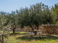 Olive grove - garden, Villa Kosta with pool, Kastel Novi, Split, Croatia  Rudine, Kaštel Novi